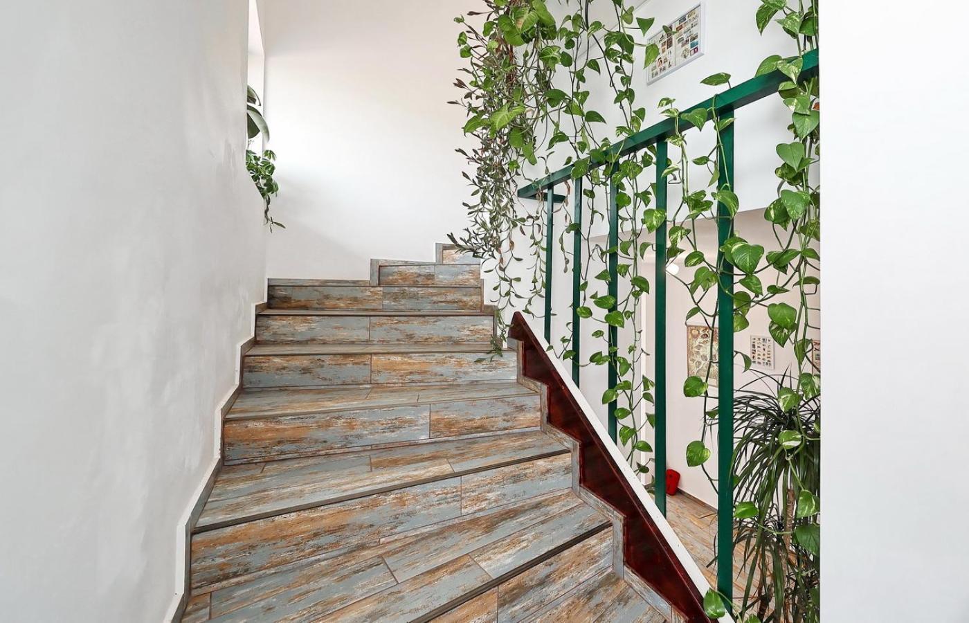 Vila Sol Prejmer Ngoại thất bức ảnh
